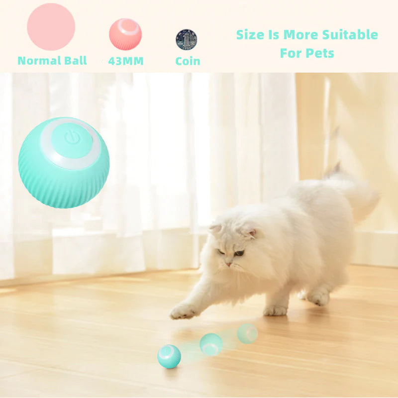 PlayBall | Intelligentes Katzen-Spielzeug – Automatisch & Geräuscharm