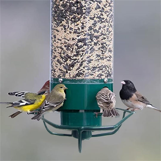 BirdSafe | Austernsicherer Vogelfutterspender