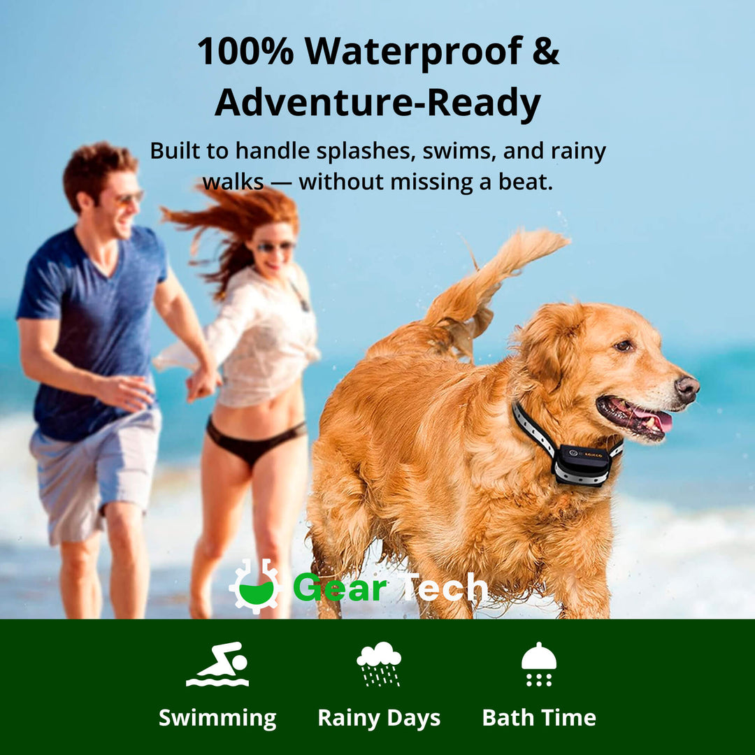 SmartLeash | Halsband – Sicheres Training für jeden Hund