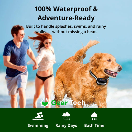 SmartLeash | Halsband – Sicheres Training für jeden Hund