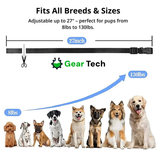 SmartLeash | Halsband – Sicheres Training für jeden Hund
