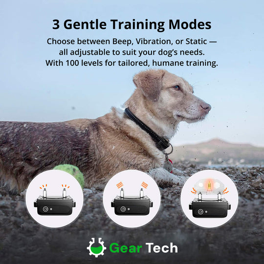 SmartLeash | Halsband – Sicheres Training für jeden Hund