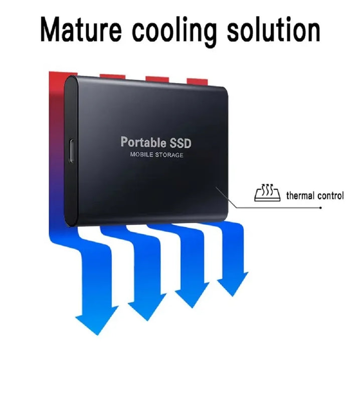 FlexiDisk | SSD Externe Festplatte 1TB