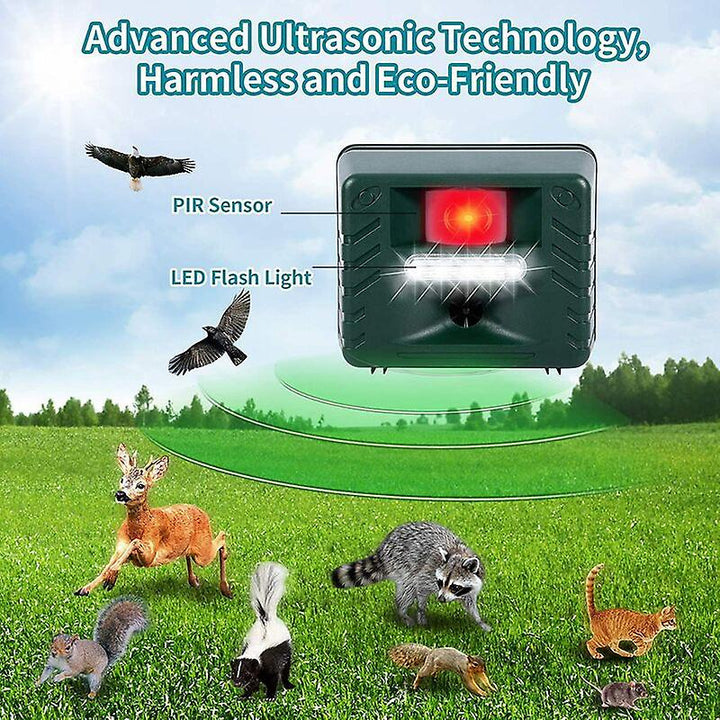 AeroSafe | Ultraschall-Specht-Vertreiber