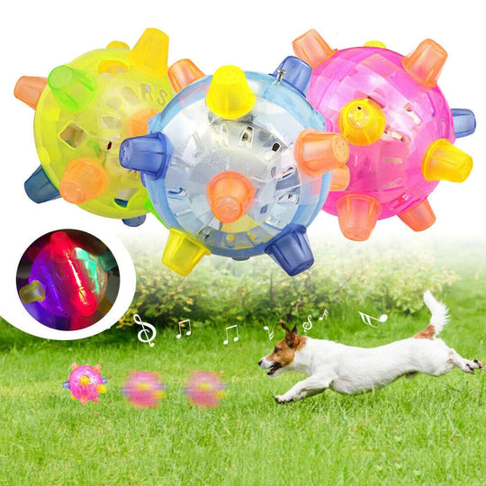 HyperBall | Neuer Springaktivierungsball für Hunde