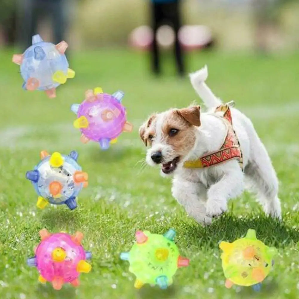 HyperBall | Neuer Springaktivierungsball für Hunde