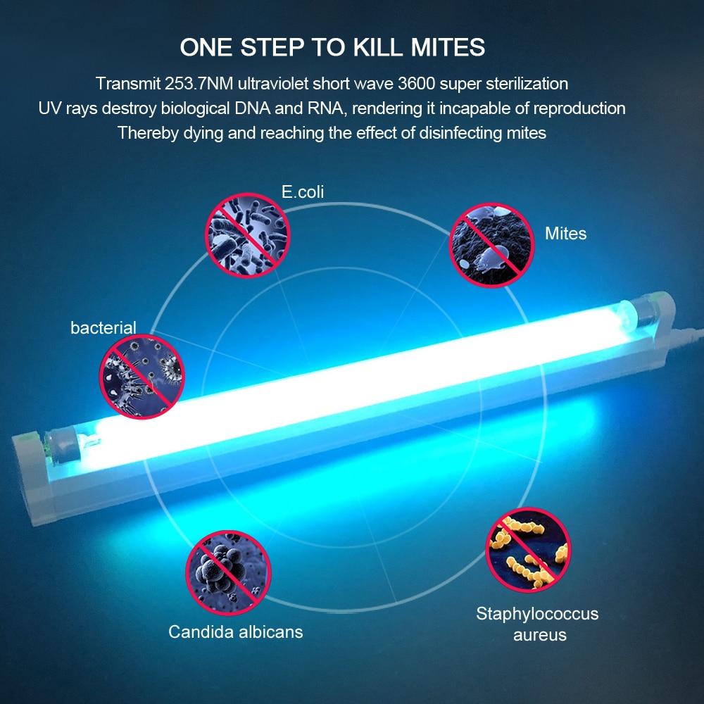 SafeLight | UV-Lampe – Geruchsneutralisierung & Keimtötung