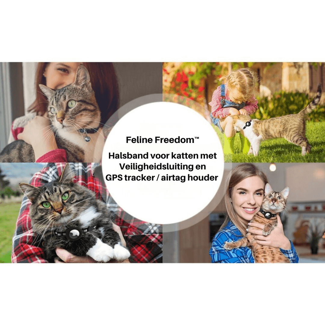 TrackTail | Katzenhalsband mit GPS-Tracker Halterung & Sicherheitsverschluss
