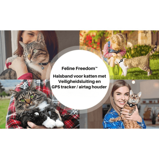 TrackTail | Katzenhalsband mit GPS-Tracker Halterung & Sicherheitsverschluss