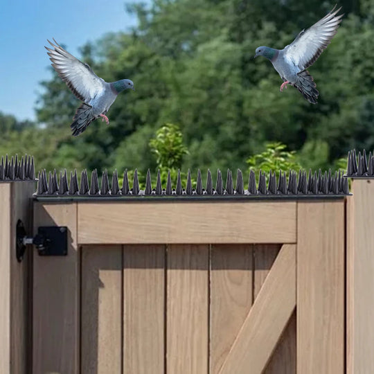 BirdBlock | Kunststoff-Vogelabwehr-Spitzen
