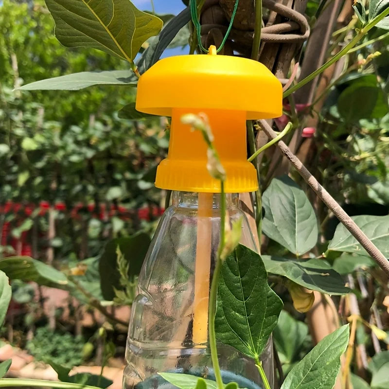 BugStopper | Fruchtfliegenfalle mit hängendem Deckel