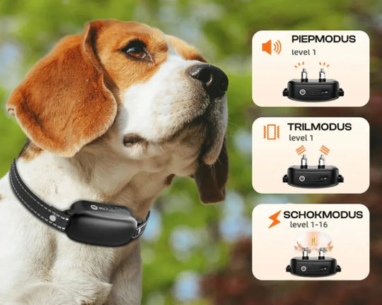 PawControl | Hundetrainingshalsband - Wasserdicht mit Fernbedienung & Vibration
