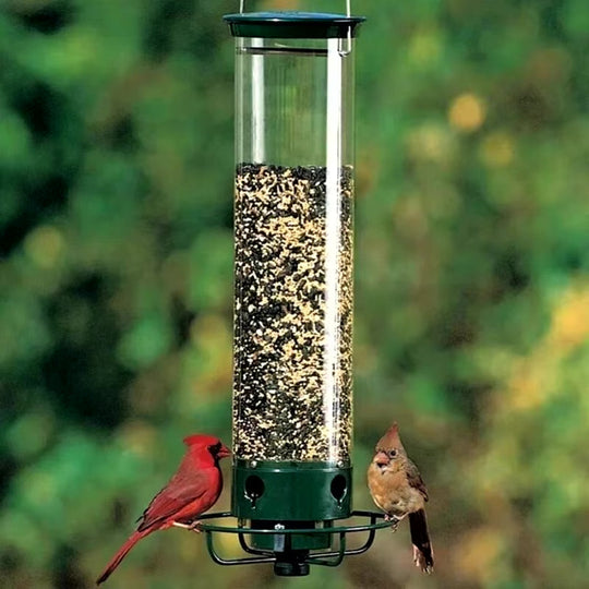 BirdSafe | Austernsicherer Vogelfutterspender