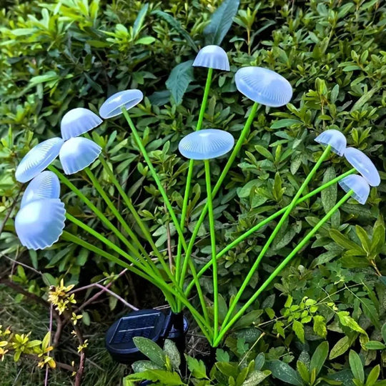 StarStem | Solar Wackelpilz Garten Dekor Lichter