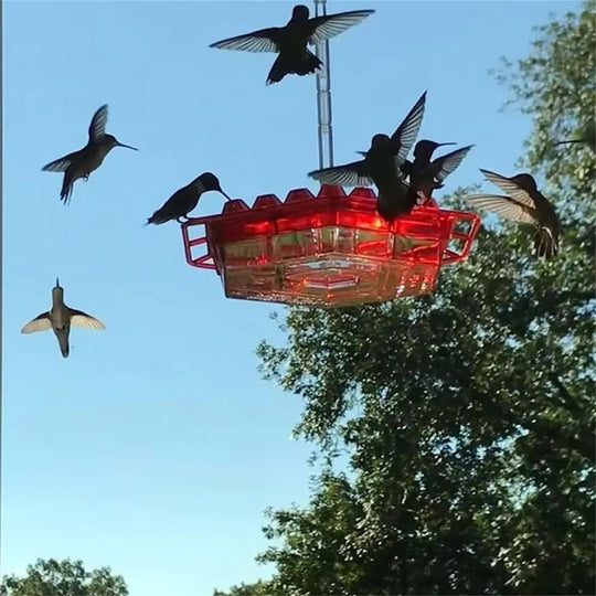 HummerSafe | Antennensicherer Hummelfutterspender Outdoor Hänge Sitz