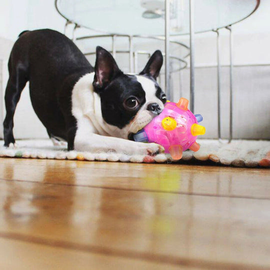 HyperBall | Neuer Springaktivierungsball für Hunde