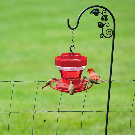 FeatherSip | Aufhängbarer bienensicherer Kolibrifutterspender mit Sitzplatz