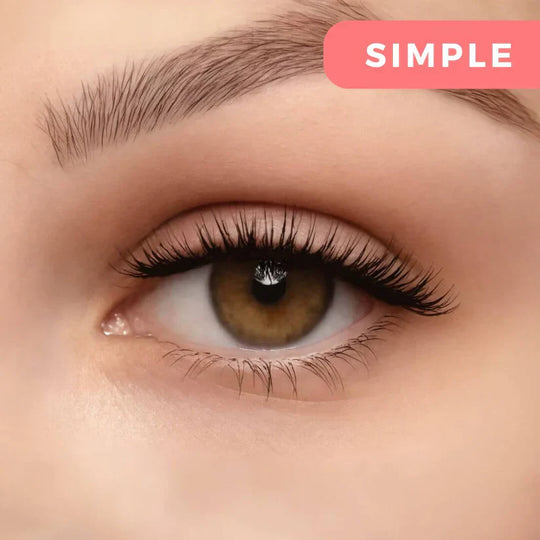 LashLines | Magnetische Wimpern