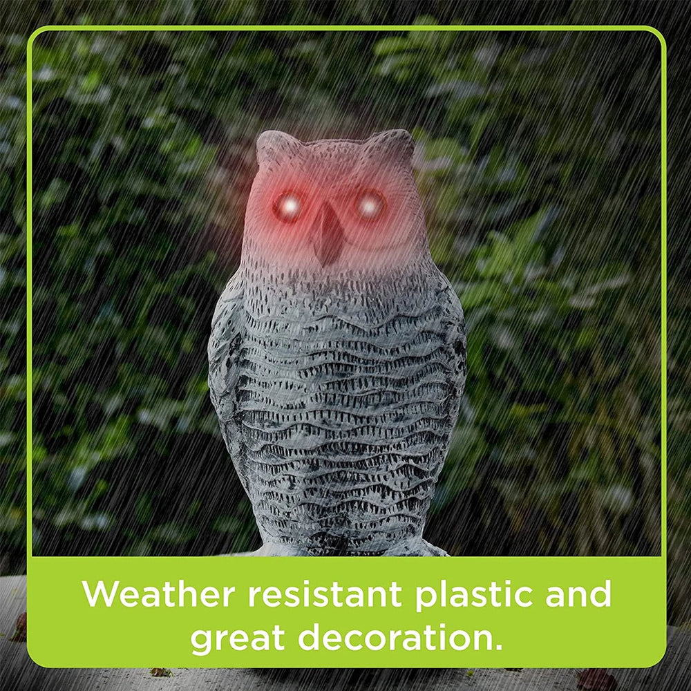 ScareOwl | Realistischer Eulenattrappe Vogelschreck