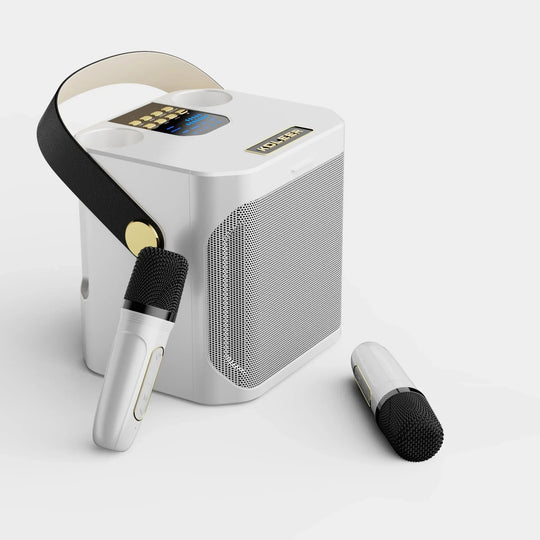 SoundBlaze | Draagbare Karaoke Speaker – Bluetooth, Dubbele Microfoon, Bass