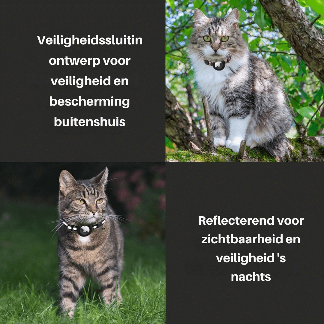 TrackTail | Katzenhalsband mit GPS-Tracker Halterung & Sicherheitsverschluss