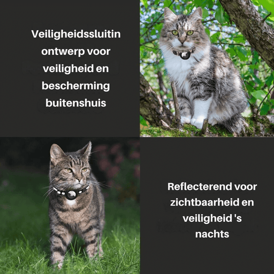 TrackTail | Katzenhalsband mit GPS-Tracker Halterung & Sicherheitsverschluss