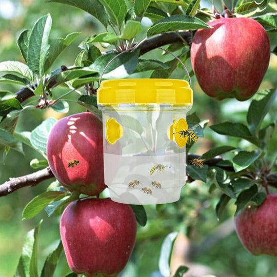 BugTrap | Insekten-Fruchtfliegenfallen