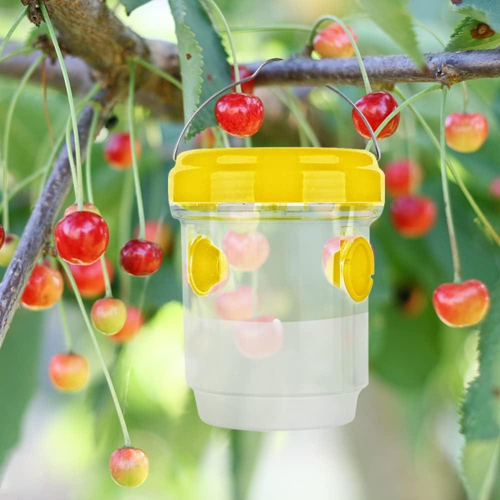 BugTrap | Insekten-Fruchtfliegenfallen