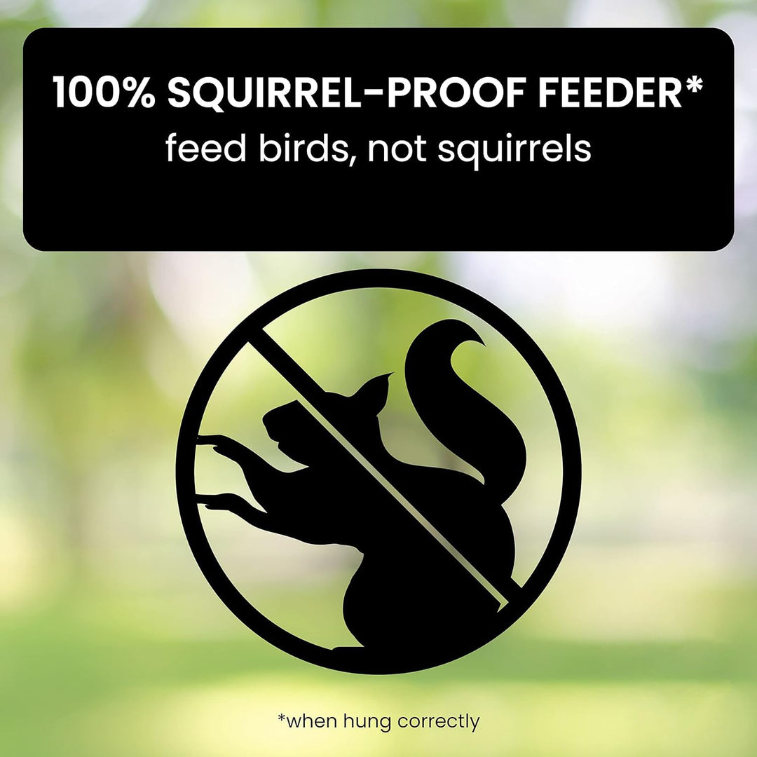 FeatherGuard | Eichhörnchen-sichere Vogelfutterstation