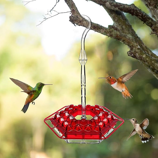 HummerSafe | Antennensicherer Hummelfutterspender Outdoor Hänge Sitz