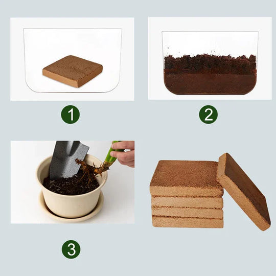 EcoGrow | Bio-Kokosnussfaser für Pflanzen
