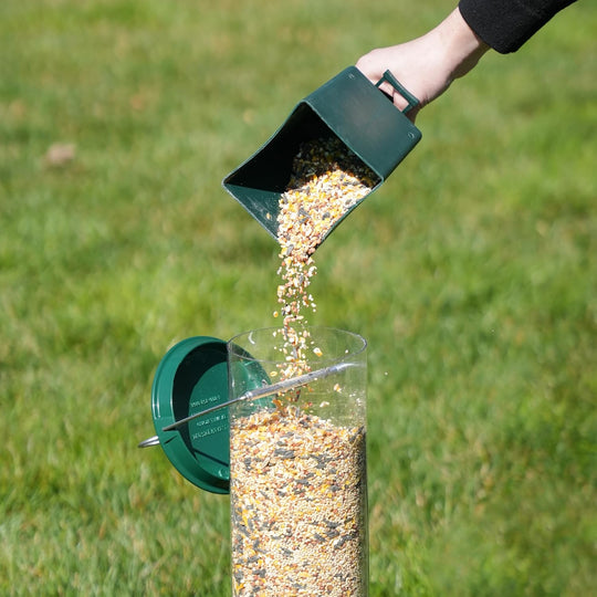 BirdSafe | Austernsicherer Vogelfutterspender