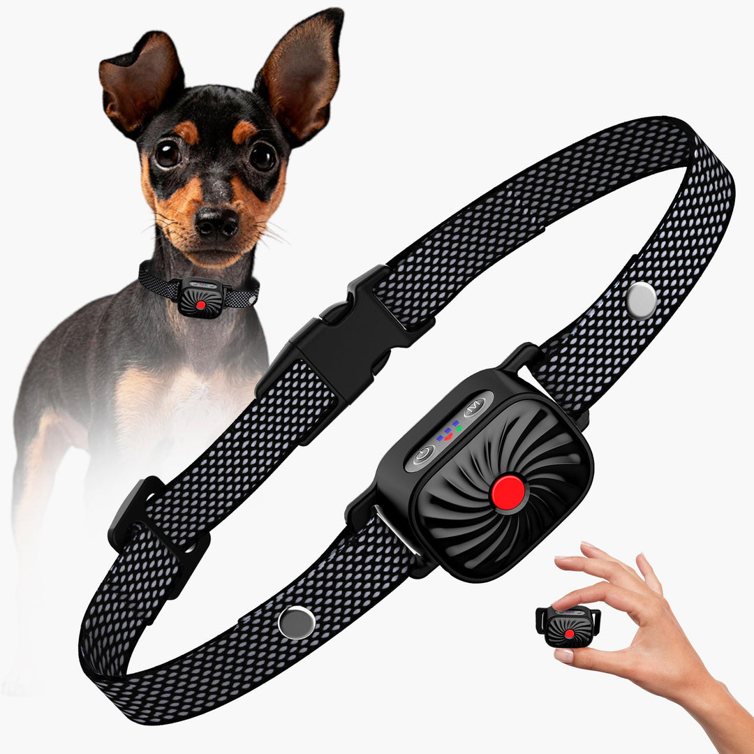 BarkEase | Sanftes Trainingshalsband für kleine Hunde