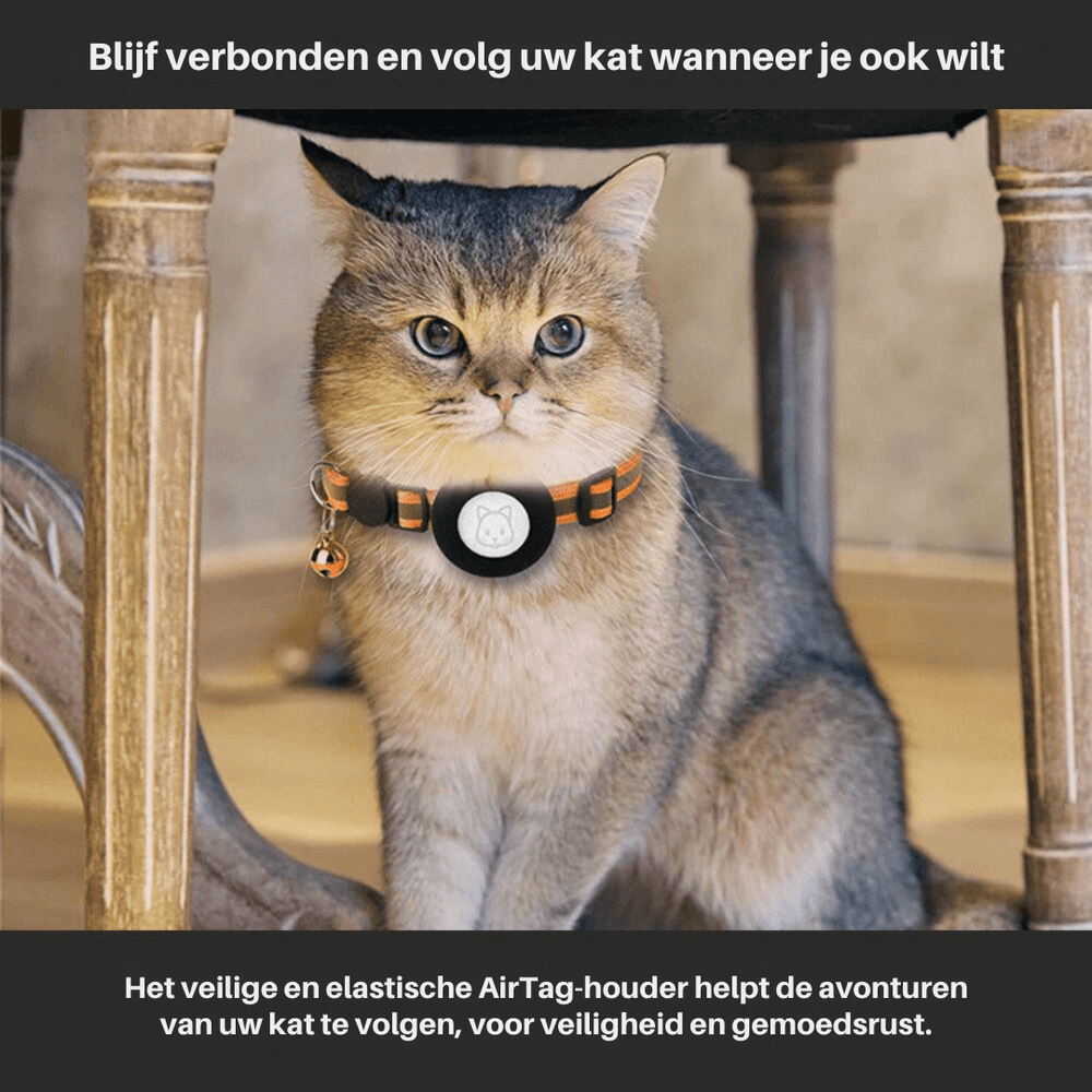 TrackTail | Katzenhalsband mit GPS-Tracker Halterung & Sicherheitsverschluss