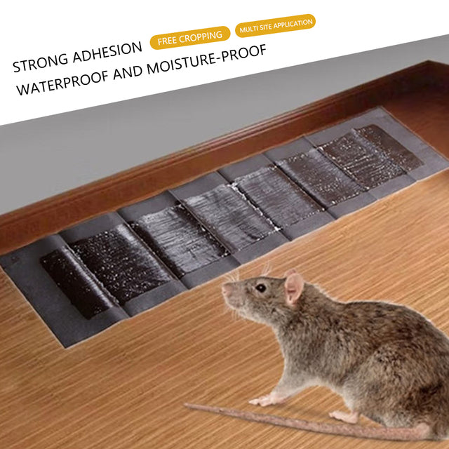 TrapMax | 5 Extra-Große Klebefallen Für Mäuse Und Ratten