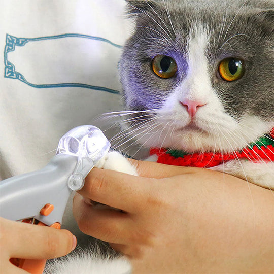 PawClip | Sicherer Nagelknipser mit Sensorschutz