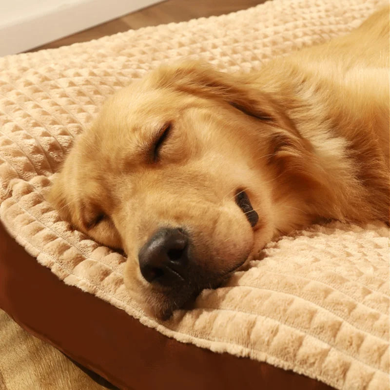 DreamPaws | Orthopädisches Hundebett für optimale Erholung1