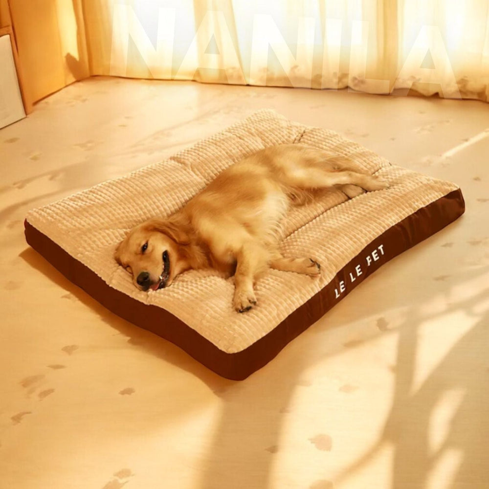 DreamPaws | Orthopädisches Hundebett für optimale Erholung2