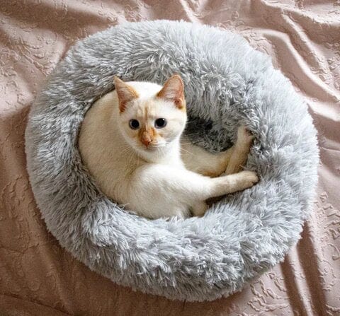 FluffyNest | Beruhigendes Haustierbett4