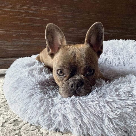 FluffyNest | Beruhigendes Haustierbett6