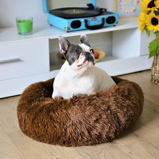 FluffyNest | Beruhigendes Haustierbett8