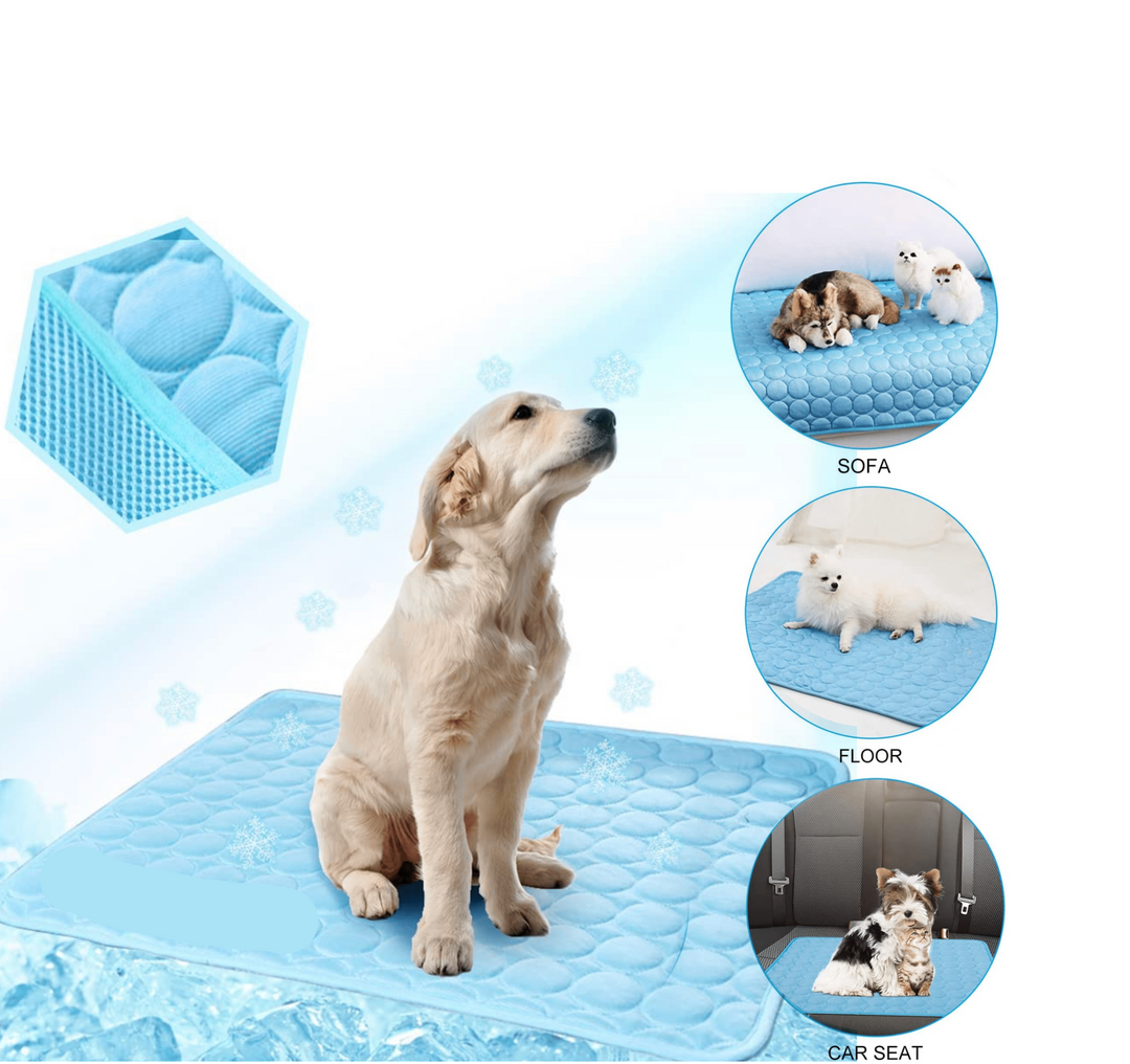 FrostPet | Selbstkühlende Hundematte für heiße Tage2