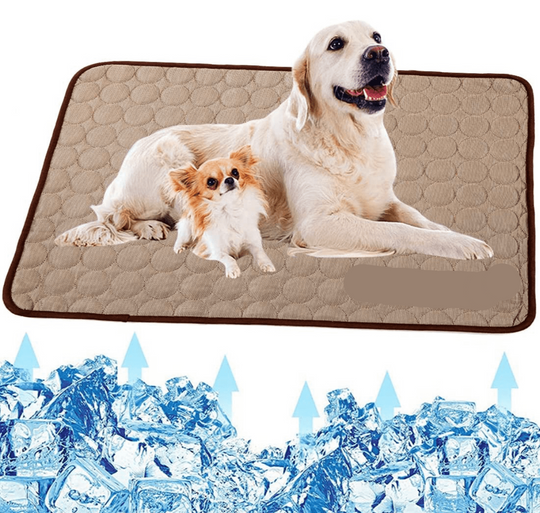 FrostPet | Selbstkühlende Hundematte für heiße Tage6
