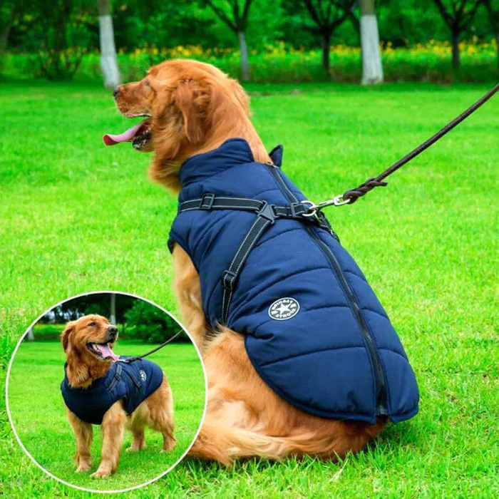 FurGuard | Wasserdichter Wintermantel mit integriertem Geschirr3