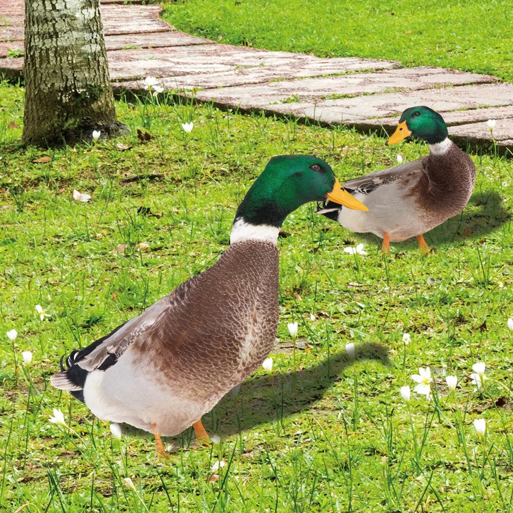 DuckDuo | Wetterfeste Deko-Ente für Garten & Beet
