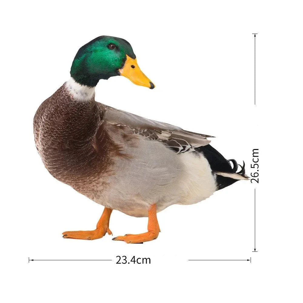DuckDuo | Wetterfeste Deko-Ente für Garten & Beet