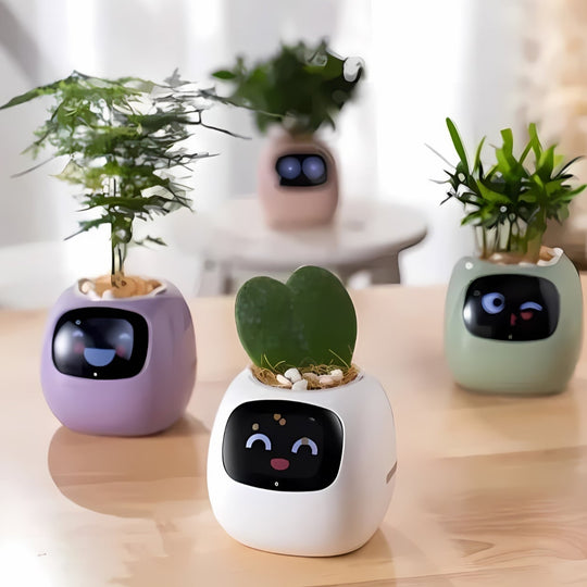 HappyIvy | SMART Blumentopf für automatische Pflanzenpflege