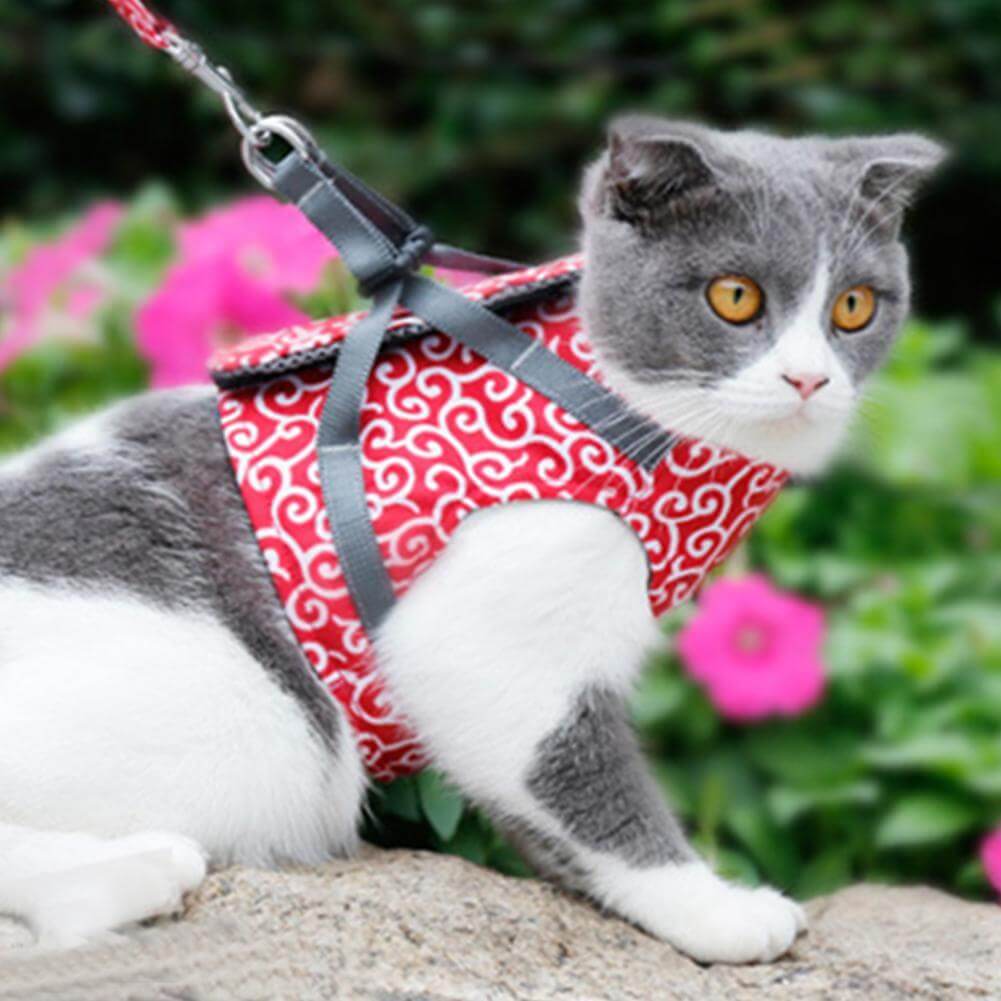 KittyComfort | Ausbruchsicheres Katzen-Geschirr-Set12