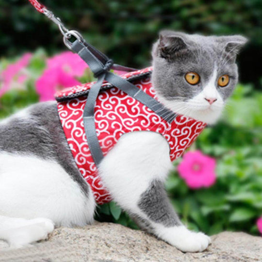 KittyComfort | Ausbruchsicheres Katzen-Geschirr-Set12