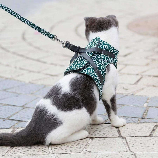 KittyComfort | Ausbruchsicheres Katzen-Geschirr-Set2